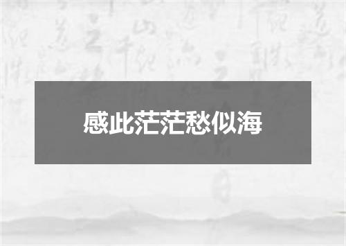 感此茫茫愁似海