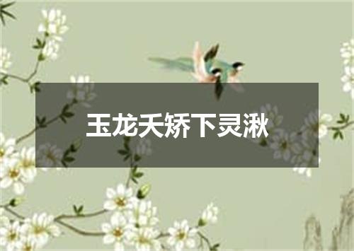 玉龙夭矫下灵湫