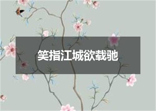 笑指江城欲载驰