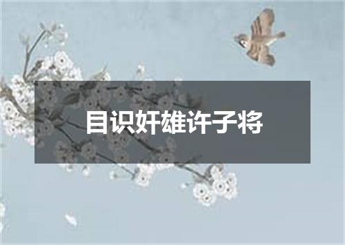 目识奸雄许子将