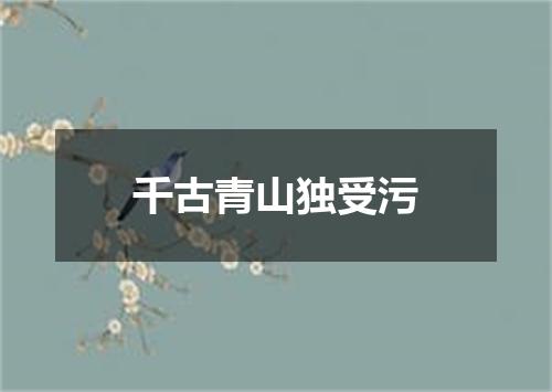 千古青山独受污