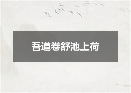 吾道卷舒池上荷