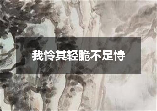 我怜其轻脆不足恃