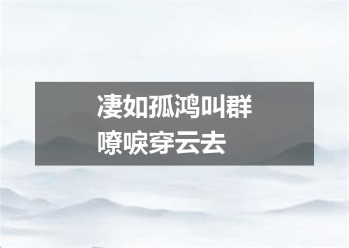凄如孤鸿叫群嘹唳穿云去