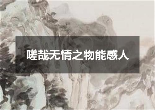 嗟哉无情之物能感人