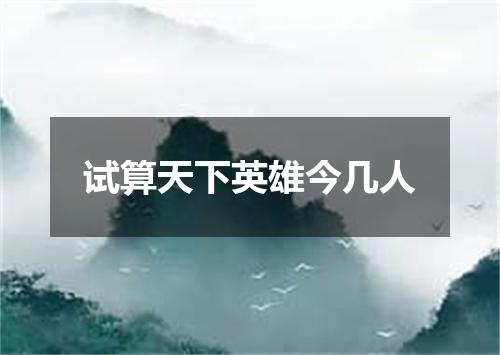 试算天下英雄今几人