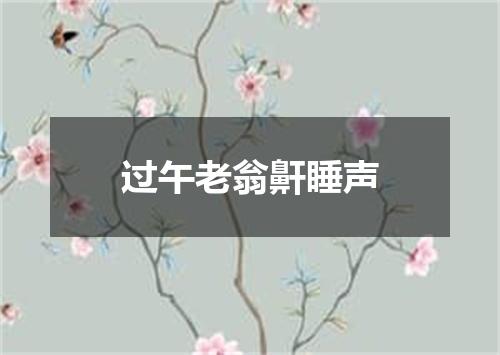过午老翁鼾睡声