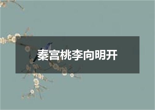 秦宫桃李向明开