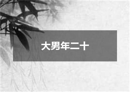 大男年二十