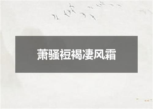 萧骚裋褐凄风霜