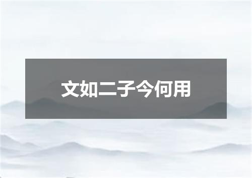 文如二子今何用