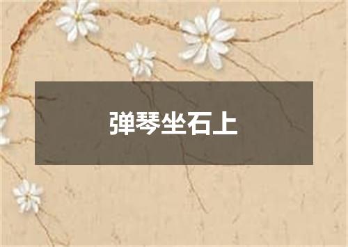 弹琴坐石上