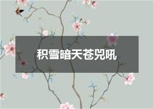 积雪暗天苍兕吼