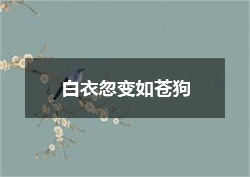 白衣忽变如苍狗