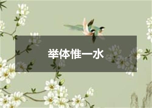 举体惟一水