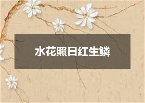 水花照日红生鳞