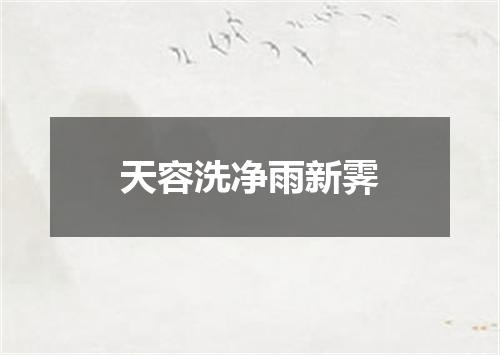 天容洗净雨新霁