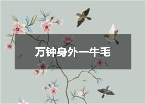 万钟身外一牛毛