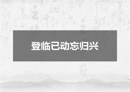 登临已动忘归兴