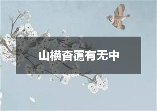 山横杳霭有无中