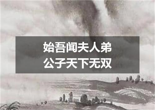 始吾闻夫人弟公子天下无双