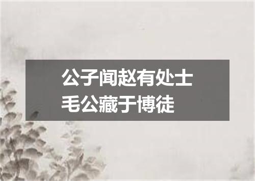公子闻赵有处士毛公藏于博徒