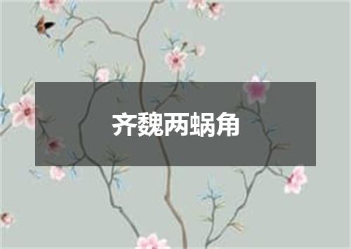 齐魏两蜗角