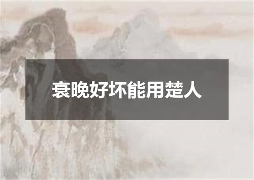 衰晚好坏能用楚人