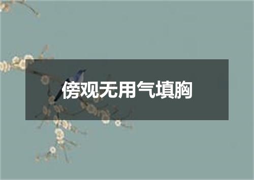 傍观无用气填胸