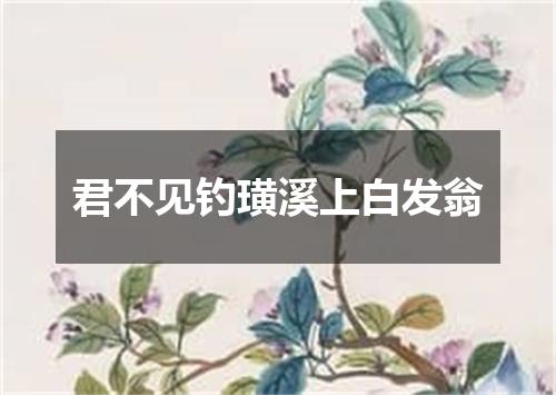 君不见钓璜溪上白发翁