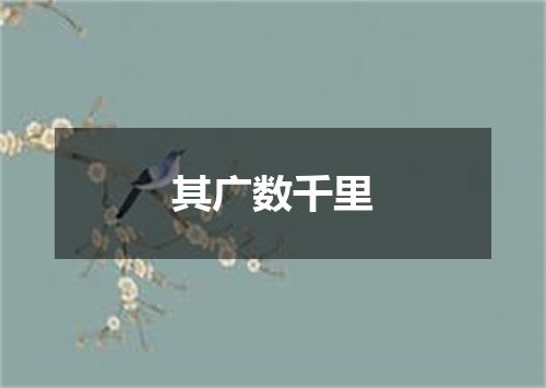 其广数千里