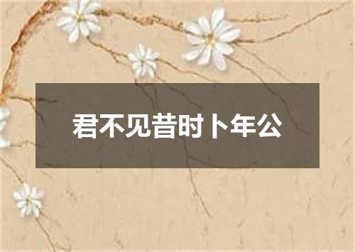 君不见昔时卜年公