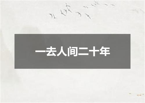 一去人间二十年