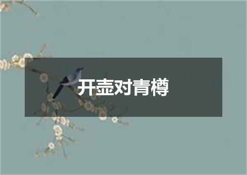 开壶对青樽