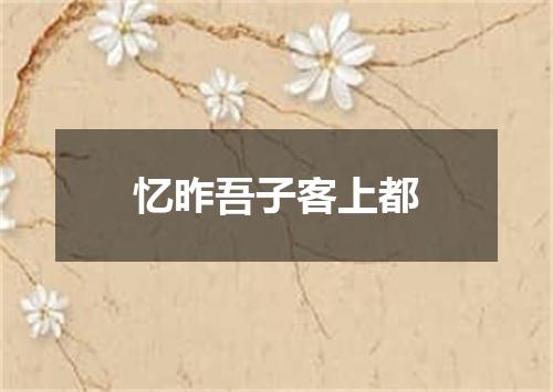 忆昨吾子客上都