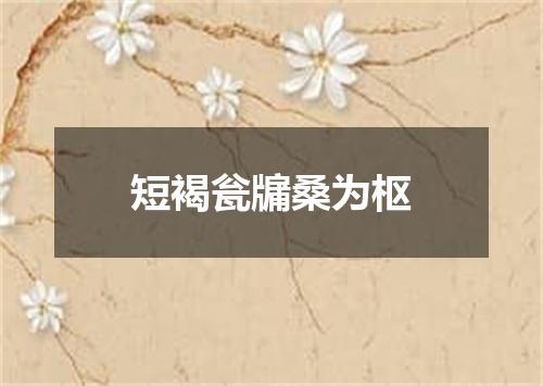 短褐瓮牖桑为枢
