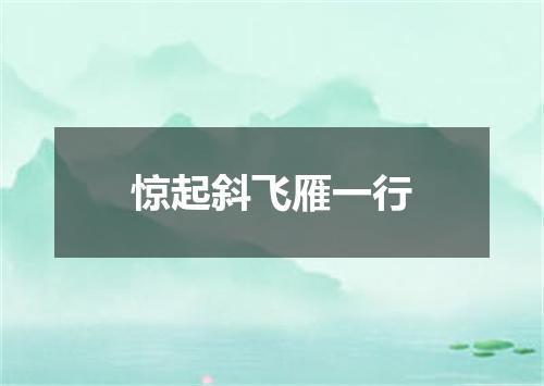惊起斜飞雁一行