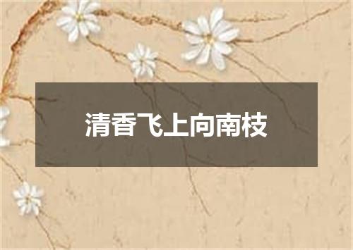 清香飞上向南枝