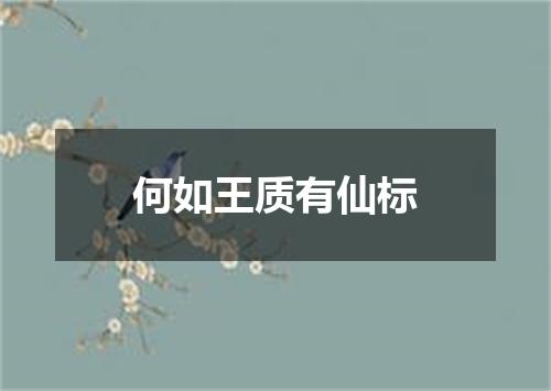何如王质有仙标