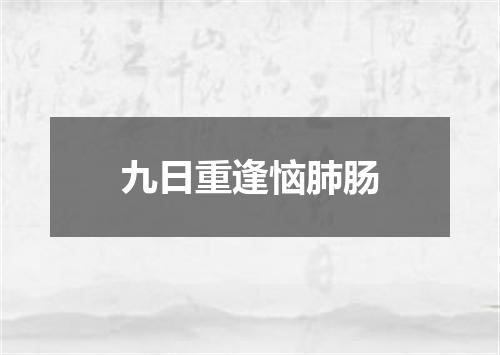 九日重逢恼肺肠