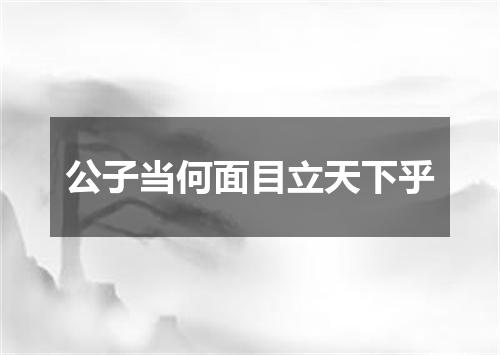 公子当何面目立天下乎