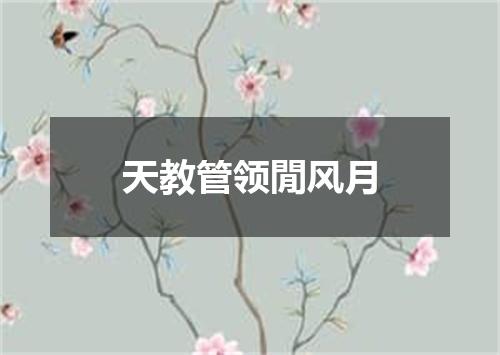天教管领閒风月