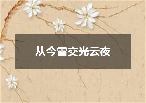 从今雪交光云夜