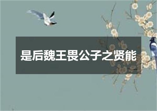 是后魏王畏公子之贤能