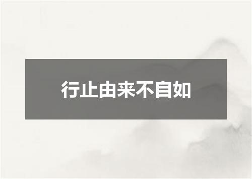 行止由来不自如