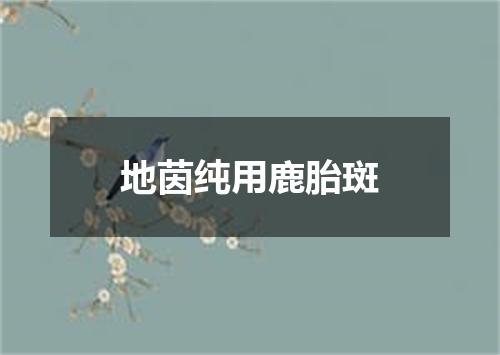 地茵纯用鹿胎斑