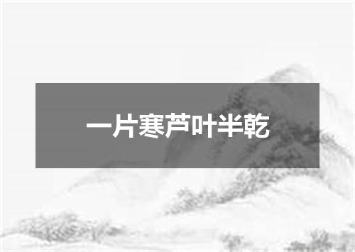 一片寒芦叶半乾