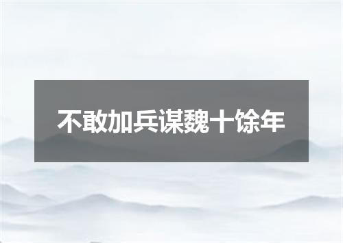 不敢加兵谋魏十馀年