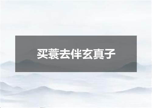 买蓑去伴玄真子