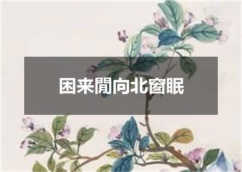 困来閒向北窗眠